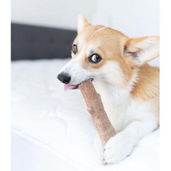 Petstages Chick-A-Bone - Hunde-Kauknoche - Kauspielzeug mit Hühnchengeschmack - Größe S Petstages Chick-A-Bone - Hunde-Kauknoche - Kauspielzeug mit Hühnchengeschmack - Größe S