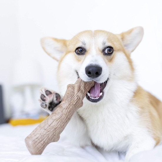 Petstages Chick-A-Bone - Hunde-Kauknoche - Kauspielzeug mit Hühnchengeschmack - Größe S Petstages Chick-A-Bone - Hunde-Kauknoche - Kauspielzeug mit Hühnchengeschmack - Größe S