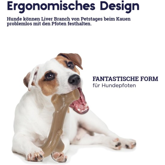 Petstages Chick-A-Bone - Hunde-Kauknoche - Kauspielzeug mit Hühnchengeschmack - Größe S Petstages Chick-A-Bone - Hunde-Kauknoche - Kauspielzeug mit Hühnchengeschmack - Größe S