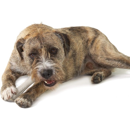 Petstages Chick-A-Bone - Hunde-Kauknoche - Kauspielzeug mit Hühnchengeschmack - Größe S Petstages Chick-A-Bone - Hunde-Kauknoche - Kauspielzeug mit Hühnchengeschmack - Größe S