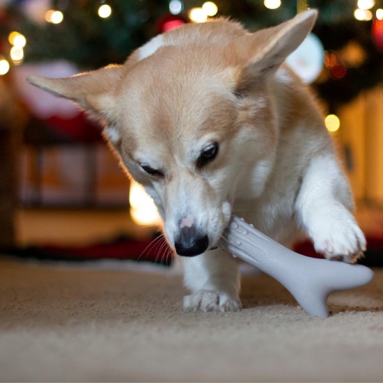 Petstages Chick-A-Bone - Hunde-Kauknoche - Kauspielzeug mit Hühnchengeschmack - Größe S Petstages Chick-A-Bone - Hunde-Kauknoche - Kauspielzeug mit Hühnchengeschmack - Größe S