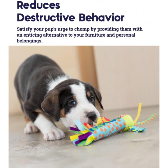 Petstages Cool Teething Stick - Spielzeug für Hunde - ideal für den Zahnwechsel Petstages Cool Teething Stick - Spielzeug für Hunde - ideal für den Zahnwechsel