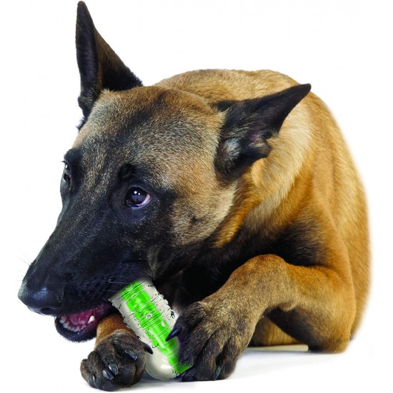Petstages Crunchcore Bone - Knochen-Kauspielzeug für Hunde - als Alternative zu Wasserflaschen - L Petstages Crunchcore Bone - Knochen-Kauspielzeug für Hunde - als Alternative zu Wasserflaschen - L