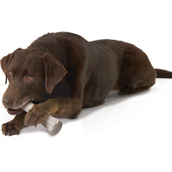 Petstages Dogwood - Hunde-Kauspielzeug - als Alternative zu Holzstöckchen - mit BBQ Geschmack - Größe XS Petstages Dogwood - Hunde-Kauspielzeug - als Alternative zu Holzstöckchen - mit BBQ Geschmack - Größe XS