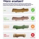 Petstages Dogwood - Hunde-Kauspielzeug - als Alternative zu Holzstöckchen - mit BBQ Geschmack - Größe XS Petstages Dogwood - Hunde-Kauspielzeug - als Alternative zu Holzstöckchen - mit BBQ Geschmack - Größe XS