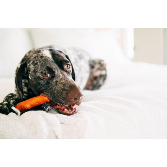 Petstages Dogwood - Hunde-Kauspielzeug - als Alternative zu Holzstöckchen - mit BBQ Geschmack - Größe XS Petstages Dogwood - Hunde-Kauspielzeug - als Alternative zu Holzstöckchen - mit BBQ Geschmack - Größe XS