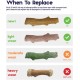 Petstages Dogwood - Hunde-Kauspielzeug - als Alternative zu Holzstöckchen - mit BBQ Geschmack - Größe XS Petstages Dogwood - Hunde-Kauspielzeug - als Alternative zu Holzstöckchen - mit BBQ Geschmack - Größe XS