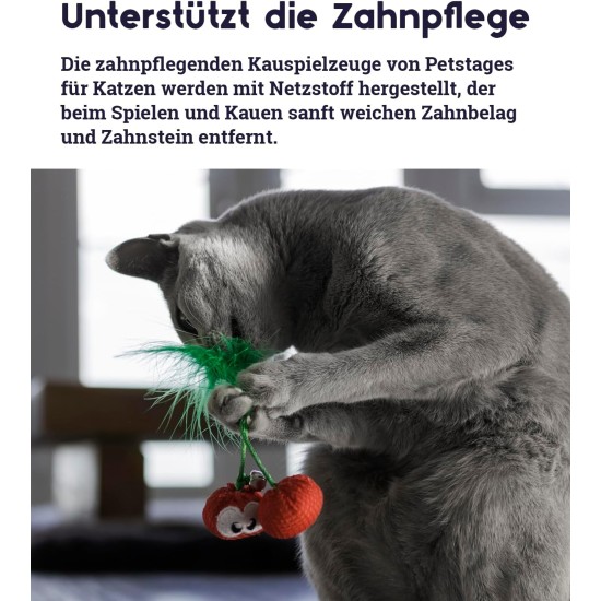 Petstages Krazy Kale Cat Toy with Catnip for Chewing and Dental Care Petstages Krazy Kale Cat Toy with Catnip for Chewing and Dental Care