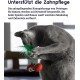 Petstages Krazy Kale Cat Toy with Catnip for Chewing and Dental Care