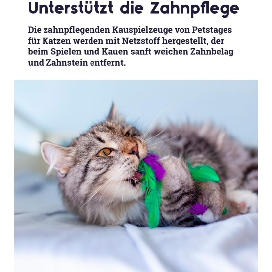 Petstages Krazy Kale Cat Toy with Catnip for Chewing and Dental Care Petstages Krazy Kale Cat Toy with Catnip for Chewing and Dental Care