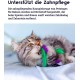 Petstages Krazy Kale Cat Toy with Catnip for Chewing and Dental Care