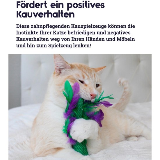 Petstages Krazy Kale Cat Toy with Catnip for Chewing and Dental Care Petstages Krazy Kale Cat Toy with Catnip for Chewing and Dental Care