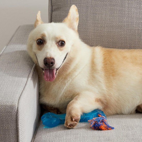 Petstages Orka Dental Links - Kauspielzeug für Hunde Petstages Orka Dental Links - Kauspielzeug für Hunde