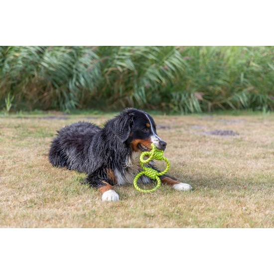 TRIXIE 33663 Rope Gripper Dog Toy Polyester 42 cm TRIXIE 33663 Rope Gripper Dog Toy Polyester 42 cm
