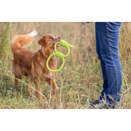 TRIXIE 33663 Rope Gripper Dog Toy Polyester 42 cm TRIXIE 33663 Rope Gripper Dog Toy Polyester 42 cm
