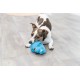 TRIXIE Dog Toy Dino Latex with Voice - 35516 TRIXIE Dog Toy Dino Latex with Voice - 35516