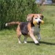 Trixie - Dog Dumbbell - 17cm - Specially Designed for Blind Dogs or Low Visibility Trixie - Dog Dumbbell - 17cm - Specially Designed for Blind Dogs or Low Visibility
