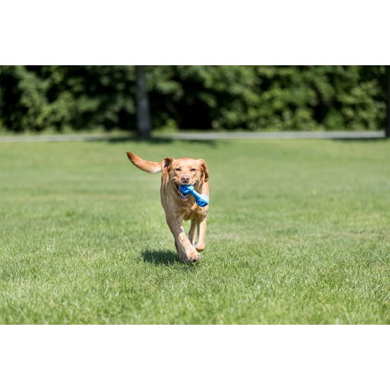 Trixie Cooling Natural Rubber Chew Bone, 11 cm, Pack of 4 Trixie Cooling Natural Rubber Chew Bone, 11 cm, Pack of 4