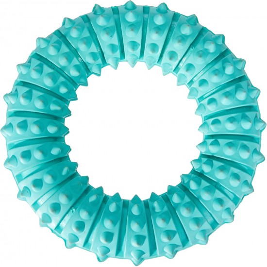 Trixie Denta Fun Natural Rubber Mint Fresh Ring for Dog, 12 cm, 1 piece Trixie Denta Fun Natural Rubber Mint Fresh Ring for Dog, 12 cm, 1 piece