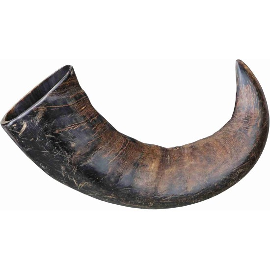 Trixie Genuine Buffalo Chewing Horn for Dogs, Large Trixie Genuine Buffalo Chewing Horn for Dogs, Large