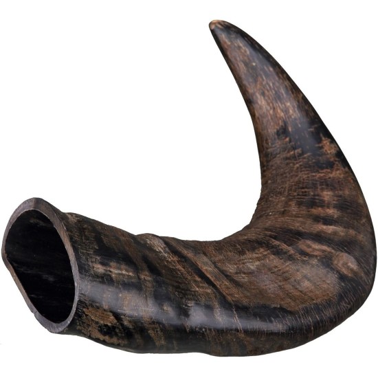Trixie Genuine Buffalo Chewing Horn for Dogs, Large Trixie Genuine Buffalo Chewing Horn for Dogs, Large