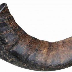 Trixie Genuine Buffalo Chewing Horn for Dogs, Large Trixie Genuine Buffalo Chewing Horn for Dogs, Large