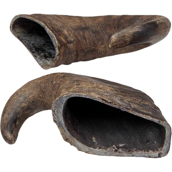 Trixie Genuine Buffalo Chewing Horn for Dogs, Medium Trixie Genuine Buffalo Chewing Horn for Dogs, Medium