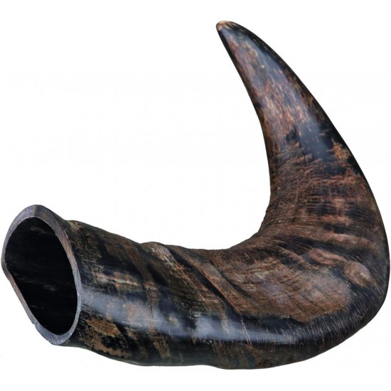 Trixie Genuine Buffalo Chewing Horn for Dogs, Medium Trixie Genuine Buffalo Chewing Horn for Dogs, Medium