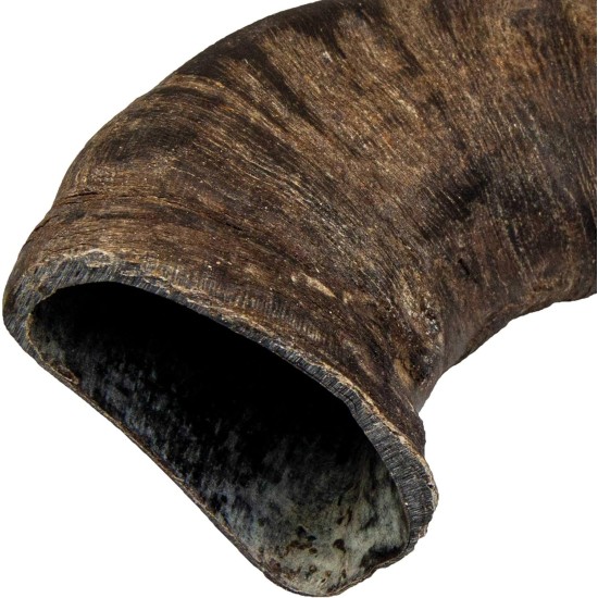 Trixie Genuine Buffalo Chewing Horn for Dogs, Medium Trixie Genuine Buffalo Chewing Horn for Dogs, Medium