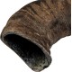 Trixie Genuine Buffalo Chewing Horn for Dogs, Medium Trixie Genuine Buffalo Chewing Horn for Dogs, Medium