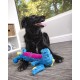 goDog Bubble Plush Skinny Dragons Squeaky Plush Dog Toy, Chew Protection Technology, Green, Large goDog Bubble Plush Skinny Dragons Squeaky Plush Dog Toy, Chew Protection Technology, Green, Large