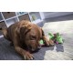 goDog Bubble Plush Skinny Dragons Squeaky Plush Dog Toy, Chew Protection Technology, Green, Large goDog Bubble Plush Skinny Dragons Squeaky Plush Dog Toy, Chew Protection Technology, Green, Large