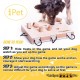 iPet - My Intelligent Dogs Interaktives Hundespielzeug aus Holz Hundespielzeug für Hunde Hundespielzeug kleine und große Hunde Hunde Spielzeug iPet - My Intelligent Dogs Interaktives Hundespielzeug aus Holz Hundespielzeug für Hunde Hundespielzeug kleine und große Hunde Hunde Spielzeug