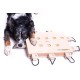 iPet - My Intelligent Dogs Interaktives Hundespielzeug aus Holz Hundespielzeug für Hunde Hundespielzeug kleine und große Hunde Hunde Spielzeug iPet - My Intelligent Dogs Interaktives Hundespielzeug aus Holz Hundespielzeug für Hunde Hundespielzeug kleine und große Hunde Hunde Spielzeug
