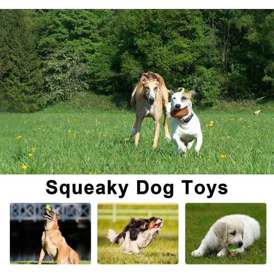 legend sandy Squeaky Toys for Dogs Cute Stuffed Plush Fruit Snacks and Vegetables Dog Toys for Puppy Small Medium Dogs Pets 14 Pack legend sandy Squeaky Toys for Dogs Cute Stuffed Plush Fruit Snacks and Vegetables Dog Toys for Puppy Small Medium Dogs Pets 14 Pack