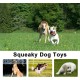 legend sandy Squeaky Toys for Dogs Cute Stuffed Plush Fruit Snacks and Vegetables Dog Toys for Puppy Small Medium Dogs Pets 14 Pack