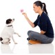 legend sandy Squeaky Toys for Dogs Cute Stuffed Plush Fruit Snacks and Vegetables Dog Toys for Puppy Small Medium Dogs Pets 14 Pack