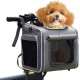 4-in-1 Dog Basket Bicycle, Expandable Dog Backpack up to 8 kg, Robust Bicycle Basket Dog with Cushion, Front Dog Bicycle Basket, Cat Backpack, Large Cats Shoulder Bag, Car Seat, Grey 4-in-1 Dog Basket Bicycle, Expandable Dog Backpack up to 8 kg, Robust Bicycle Basket Dog with Cushion, Front Dog Bicycle Basket, Cat Backpack, Large Cats Shoulder Bag, Car Seat, Grey