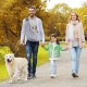 Adiwo Dog Carrier Puppy Reversible Transport Bag for Dogs and Other Pets up to 7.5 kg Sling Dog Adjustable Secure Carry Strap for Small Dogs for Outdoor Walks Black Adiwo Dog Carrier Puppy Reversible Transport Bag for Dogs and Other Pets up to 7.5 kg Sling Dog Adjustable Secure Carry Strap for Small Dogs for Outdoor Walks Black