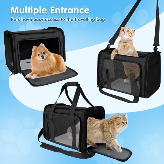 AiQInu Transport Bag Cat Dog Foldable Dog Transport Box with Adjustable Shoulder Strap Load Capacity 3-6 kg for Medium Small Dog Cat Pets on Plane AiQInu Transport Bag Cat Dog Foldable Dog Transport Box with Adjustable Shoulder Strap Load Capacity 3-6 kg for Medium Small Dog Cat Pets on Plane