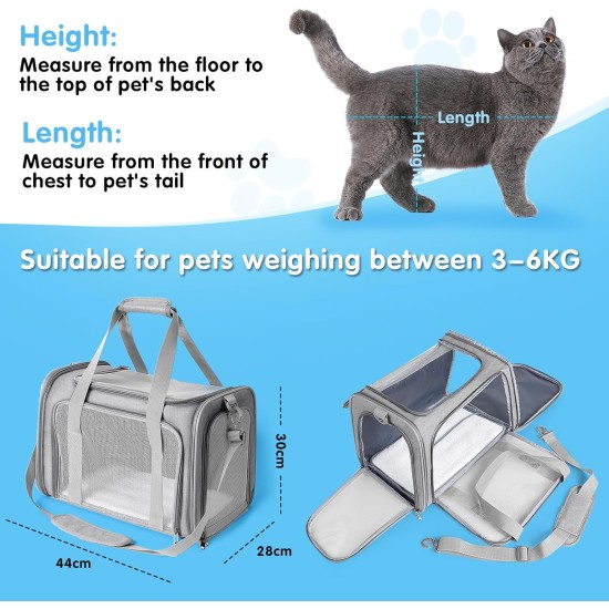 AiQInu Transport Bag Cat Dog Foldable Dog Transport Box with Adjustable Shoulder Strap Load Capacity 3-6 kg for Medium Small Dog Cat Pets on Plane AiQInu Transport Bag Cat Dog Foldable Dog Transport Box with Adjustable Shoulder Strap Load Capacity 3-6 kg for Medium Small Dog Cat Pets on Plane