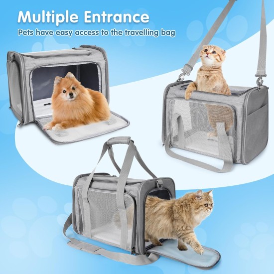 AiQInu Transport Bag Cat Dog Foldable Dog Transport Box with Adjustable Shoulder Strap Load Capacity 3-6 kg for Medium Small Dog Cat Pets on Plane AiQInu Transport Bag Cat Dog Foldable Dog Transport Box with Adjustable Shoulder Strap Load Capacity 3-6 kg for Medium Small Dog Cat Pets on Plane
