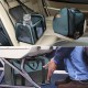 Akinerri Airline Approved Pet Carrier Soft Sided Folding Puppy Cat Carrier Carrier for Small Medium Cats Akinerri Airline Approved Pet Carrier Soft Sided Folding Puppy Cat Carrier Carrier for Small Medium Cats