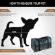 Akinerri Airline Approved Pet Carrier Soft Sided Folding Puppy Cat Carrier Carrier for Small Medium Cats Akinerri Airline Approved Pet Carrier Soft Sided Folding Puppy Cat Carrier Carrier for Small Medium Cats