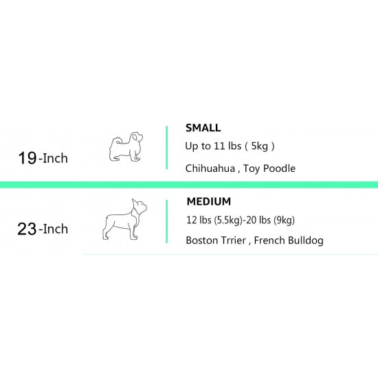 Amazon Basics Pet Carrier - 2 Doors, 1 Roof Opening Amazon Basics Pet Carrier - 2 Doors, 1 Roof Opening