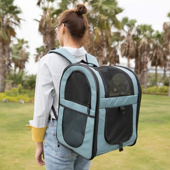 Apollo Walker Pet Carrier Backpack for Large/Small Cats and Dogs, Puppies, Safety Features and Pillow Back Support for Travel, Hiking, Outdoor (Black) Apollo Walker Pet Carrier Backpack for Large/Small Cats and Dogs, Puppies, Safety Features and Pillow Back Support for Travel, Hiking, Outdoor (Black)
