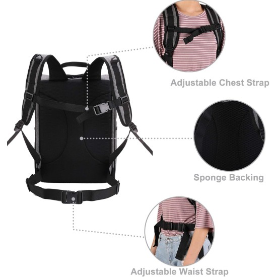 Apollo Walker Pet Carrier Backpack for Large/Small Cats and Dogs, Puppies, Safety Features and Pillow Back Support for Travel, Hiking, Outdoor (Black) Apollo Walker Pet Carrier Backpack for Large/Small Cats and Dogs, Puppies, Safety Features and Pillow Back Support for Travel, Hiking, Outdoor (Black)
