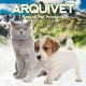 Arquivet Plastic Pet Carrier 59 x 36 x 33 cm, Small or Medium Dogs and Cats, Large Rodents, Transport Box for Train and Car Arquivet Plastic Pet Carrier 59 x 36 x 33 cm, Small or Medium Dogs and Cats, Large Rodents, Transport Box for Train and Car