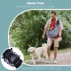 Avont Dog Carrier Bag, Adjustable Straps Dog Carrier Bag for Small Dogs and Cats, Ideal for Puppies, Cats, Travel, Trips and Daily Use - Blue Avont Dog Carrier Bag, Adjustable Straps Dog Carrier Bag for Small Dogs and Cats, Ideal for Puppies, Cats, Travel, Trips and Daily Use - Blue