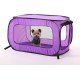 Beatrice Home Fashions SOLPPK00GRN POP UP PET KENNEL, Green